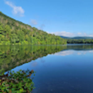 Meet your Posher, Esme